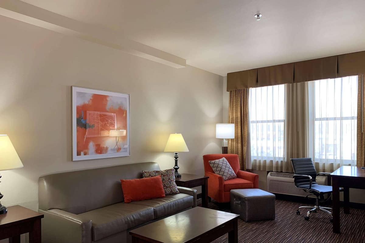 1 間睡房、遮光窗簾/窗簾、熨斗/熨衫板、免費嬰兒床