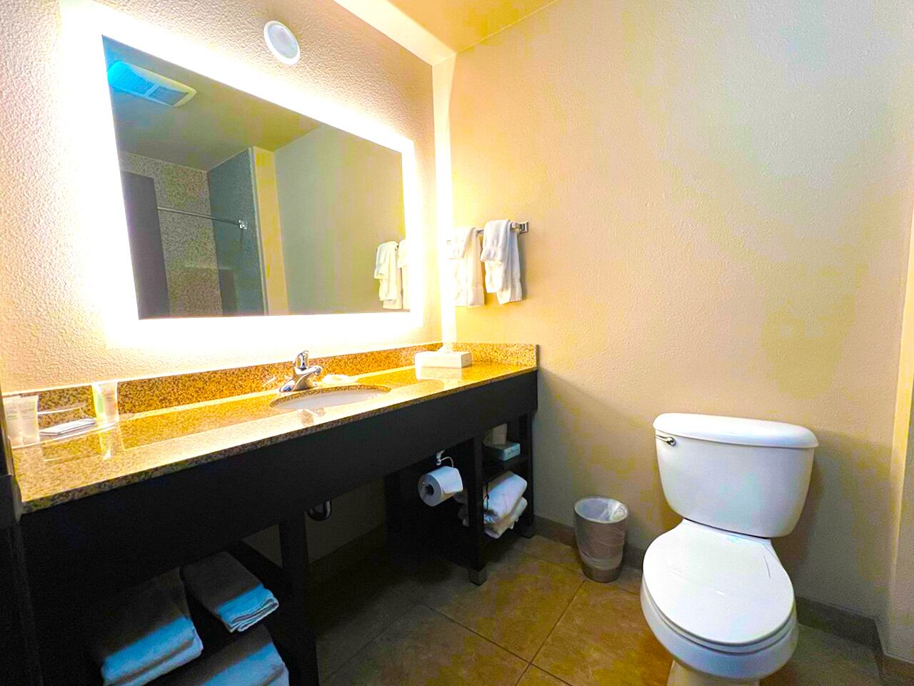 Une salle de bain avec un lavabo, un miroir et des toilettes.