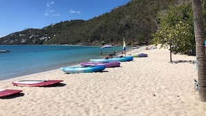 Une plage où l’on aperçoit des kayaks alignés et un palmier sur la droite.