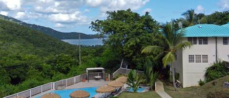Piscina com espreguiçadeiras e guarda-sóis, cercada por vegetação exuberante e vista para o mar.