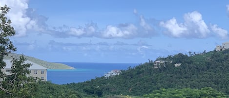 A lush green landscape with a view of the ocean and buildings in the distance.