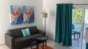 42-inch TV with digital channels, Netflix, Hulu