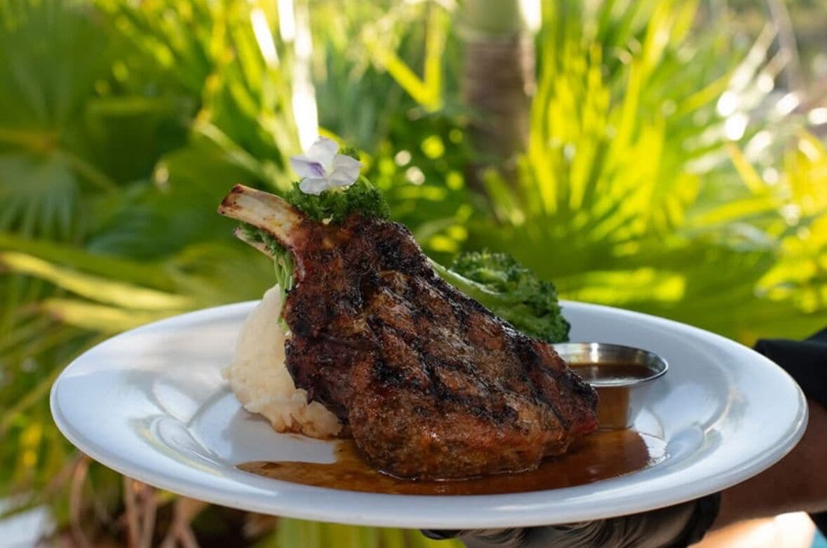 A plate with a grilled meat, mashed potatoes, and a small sauce container, set against a natural backdrop.