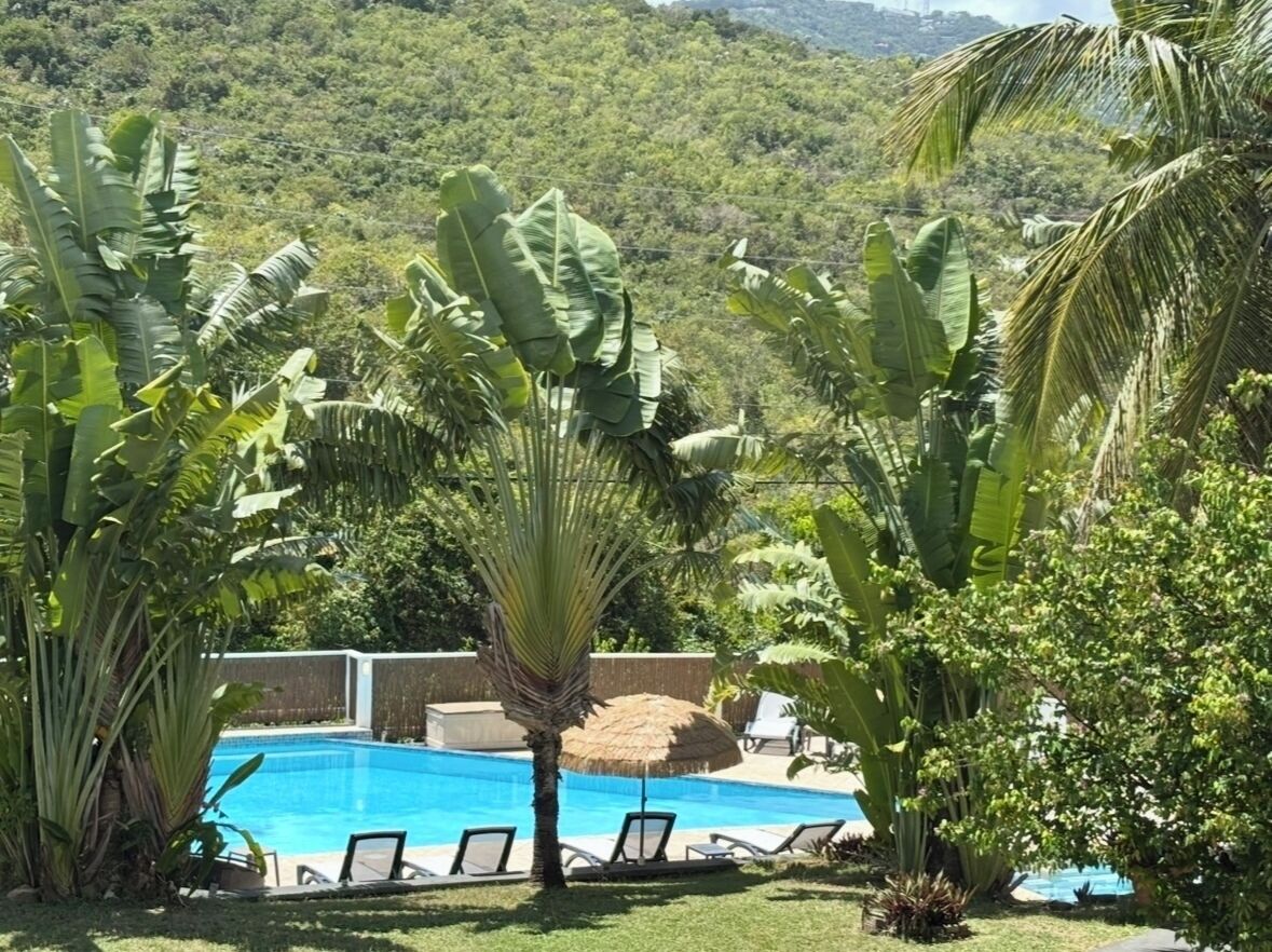 A swimming pool surrounded by lush greenery and a mountain backdrop.