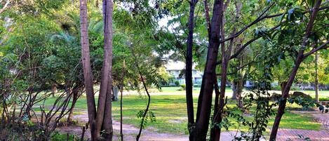 A park with trees, grass, and a building in the background.