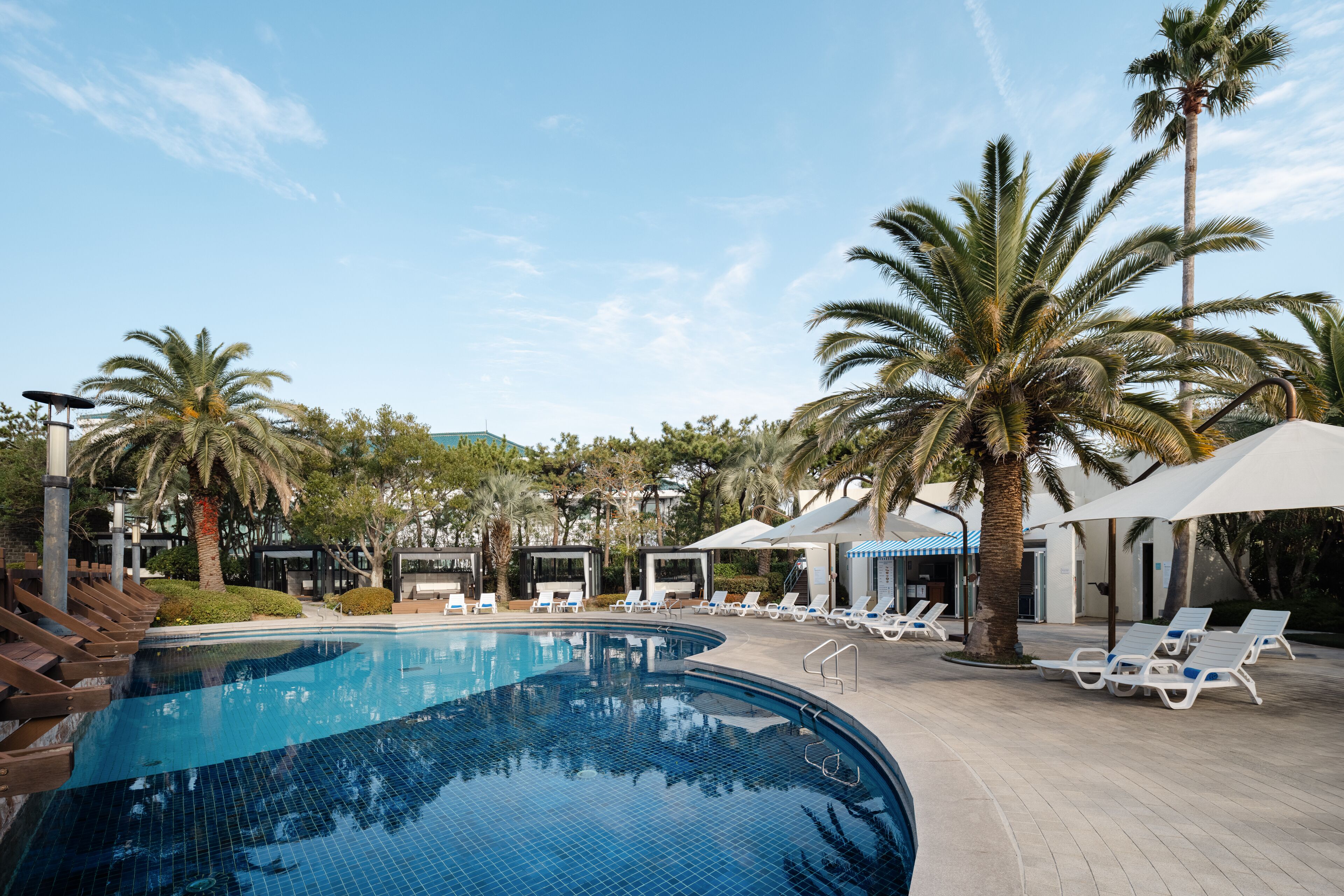 A swimming pool with lounge chairs and palm trees.
