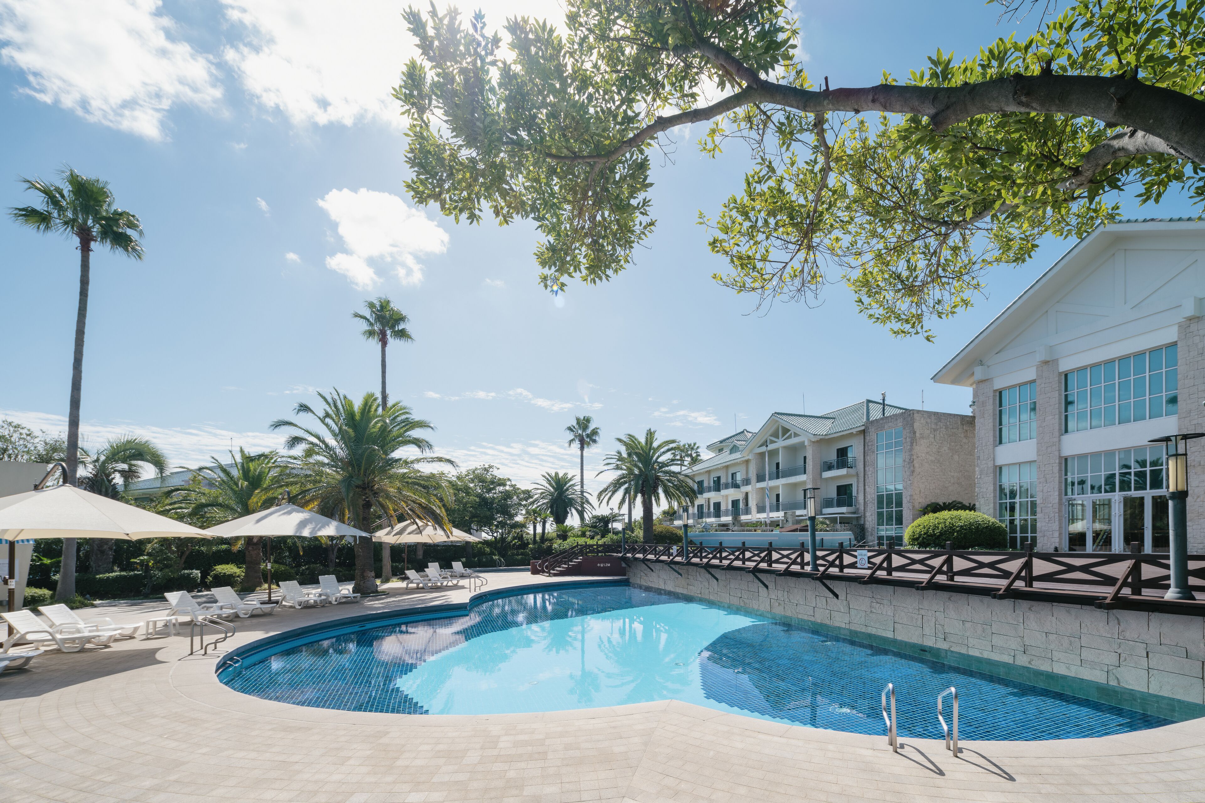 Alberca al aire libre y camas balinesas (con cargo) 