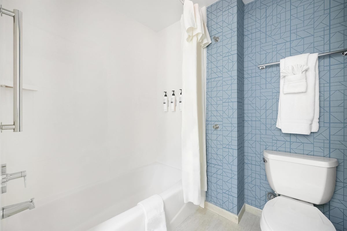 Bathtub, free toiletries, hair dryer, towels