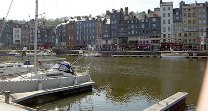 Adonis Honfleur