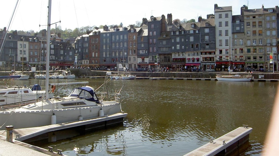 Adonis Honfleur