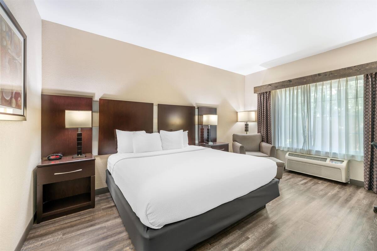 A hotel room with a large bed, a bedside table with a lamp, a chair, a window with curtains, and a wall-mounted heater.