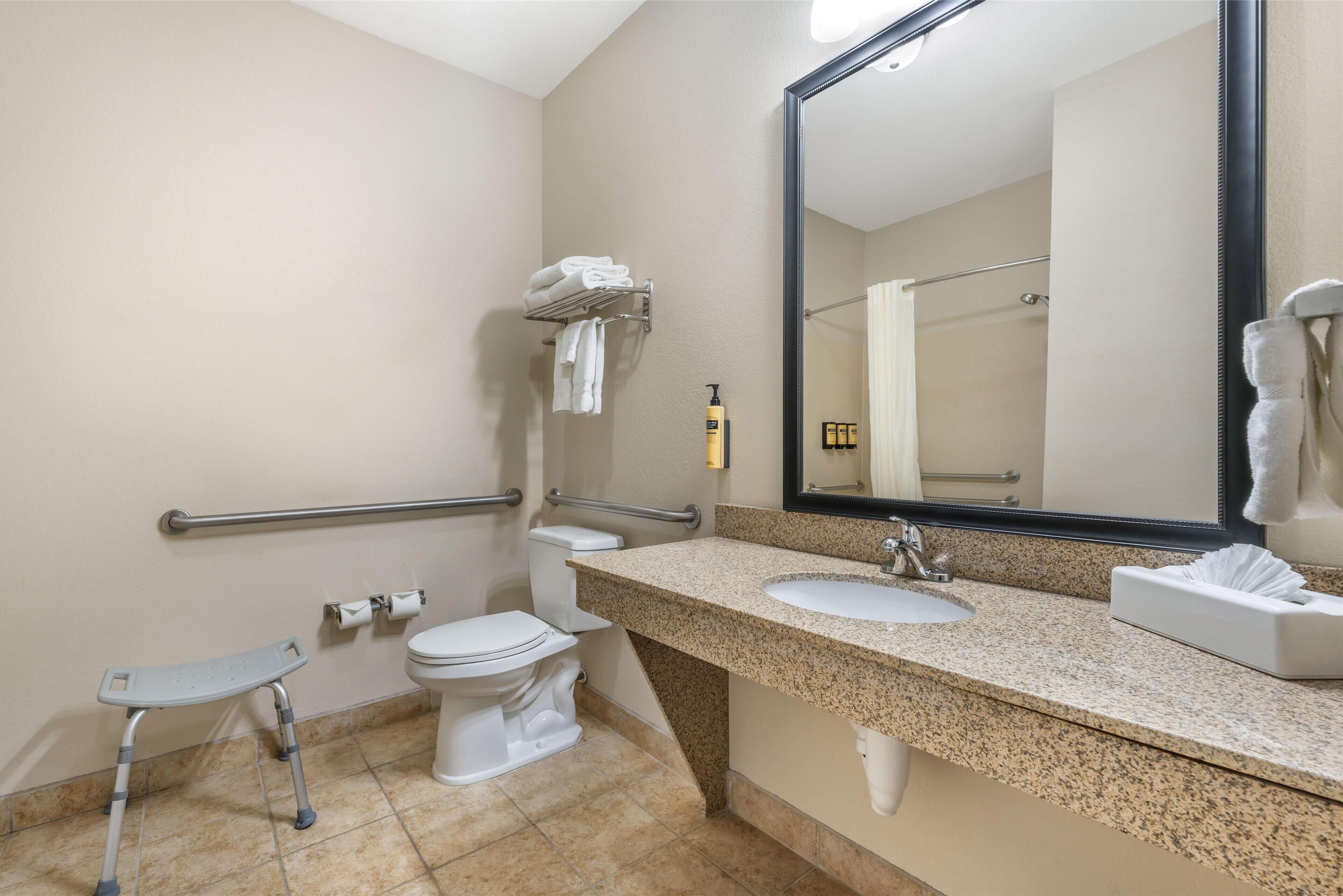 suite, 1 king bed with sofa bed, accessible, non smoking (with sofabed) | accessible bathroom