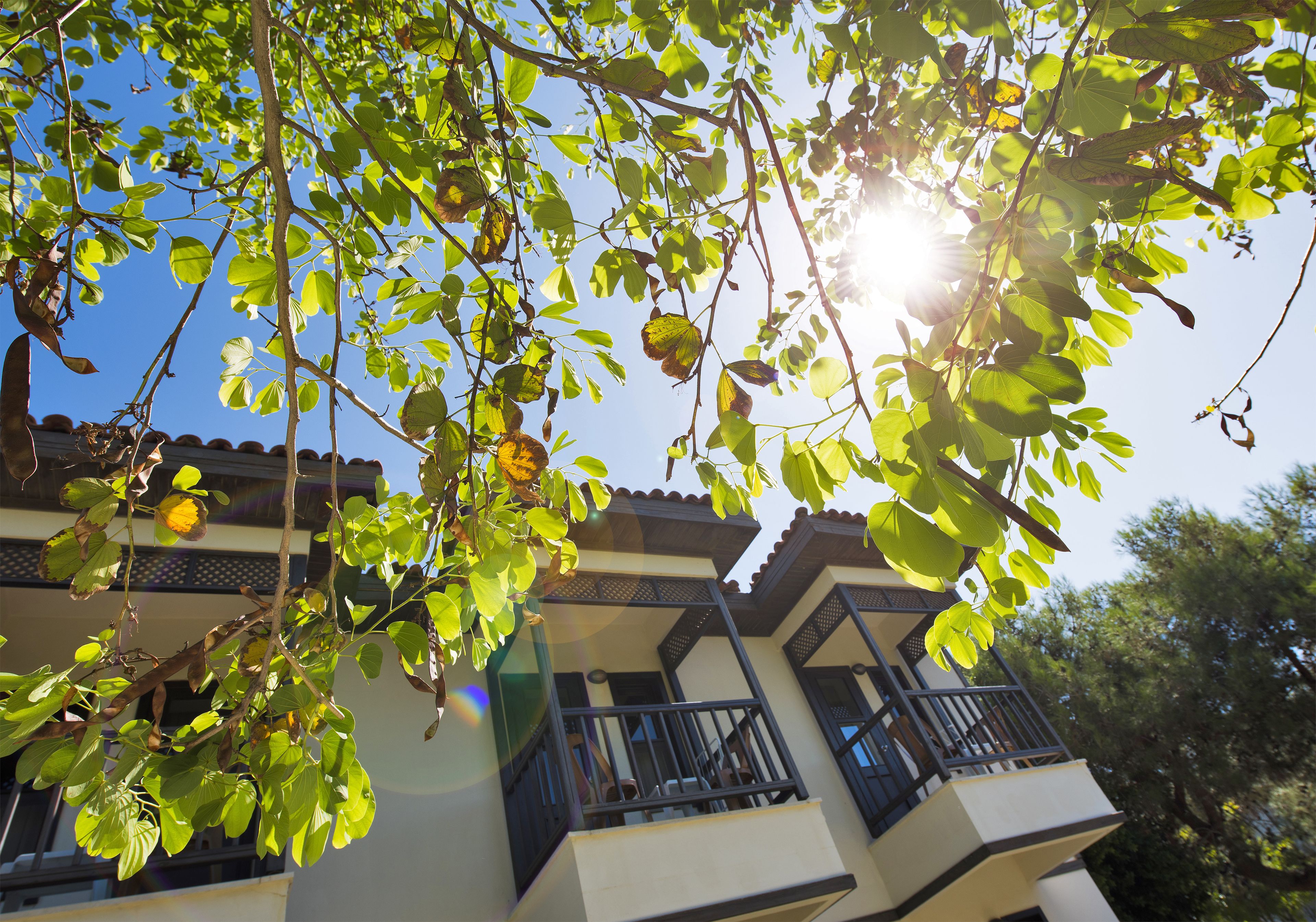 Photo - Club Nena - All Inclusive