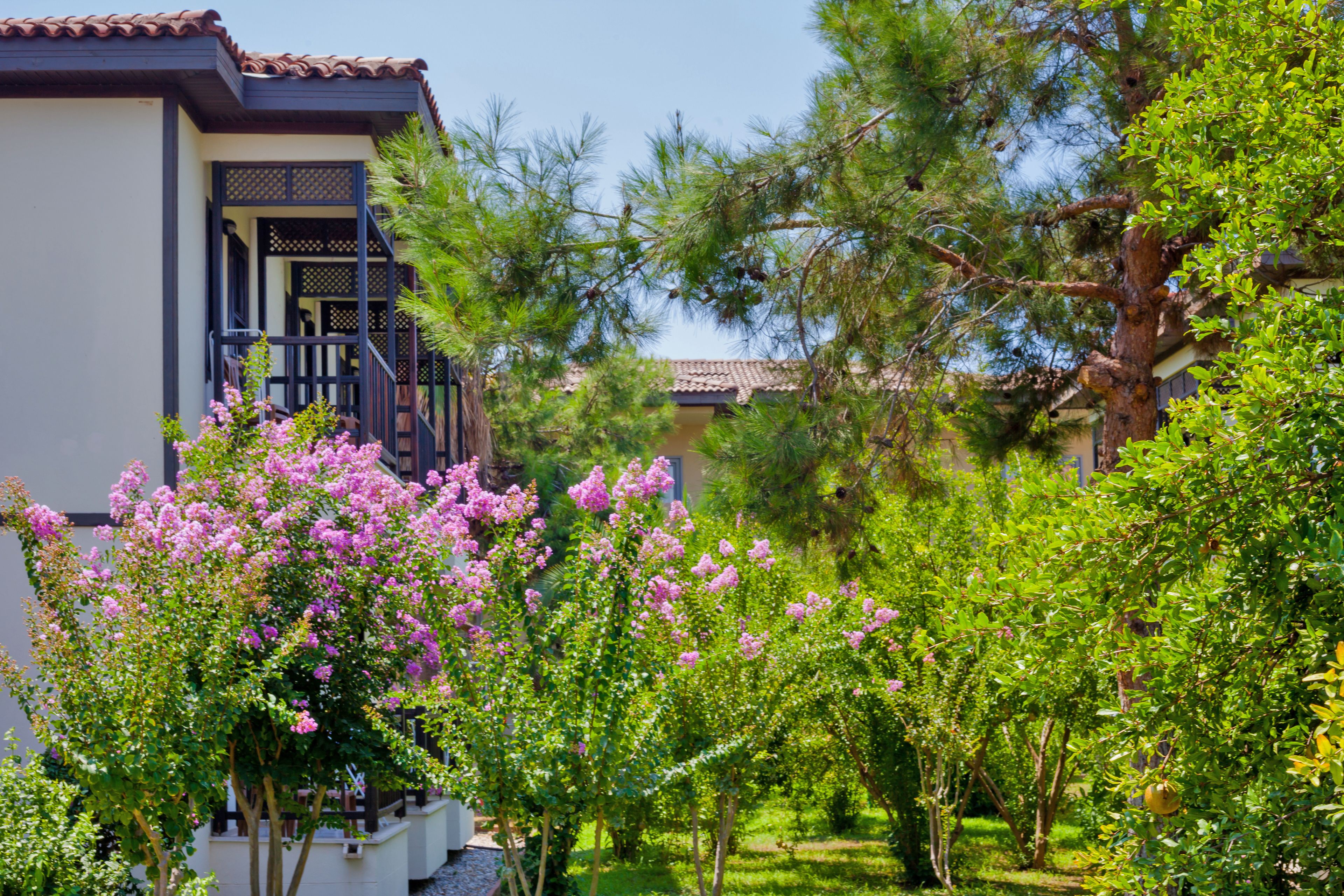 Photo - Club Nena - All Inclusive