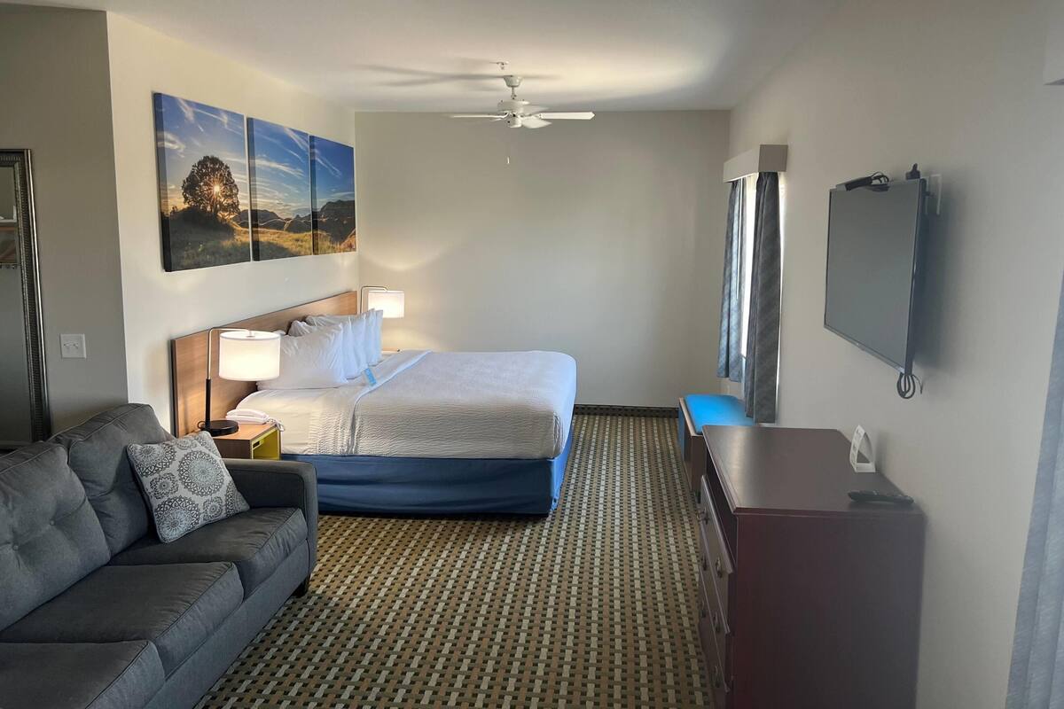 A hotel room with a bed, a sofa, a TV, and a ceiling fan.