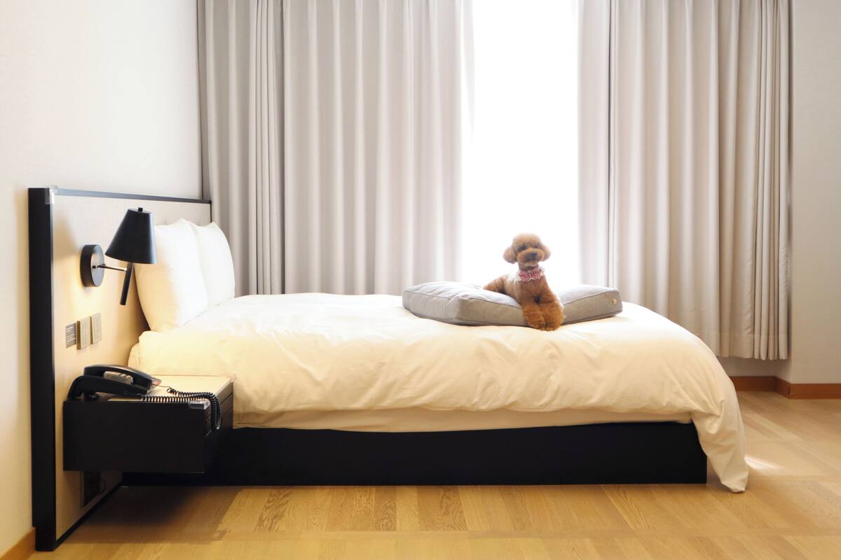 Een hotelkamer met een bed, telefoon en lamp.