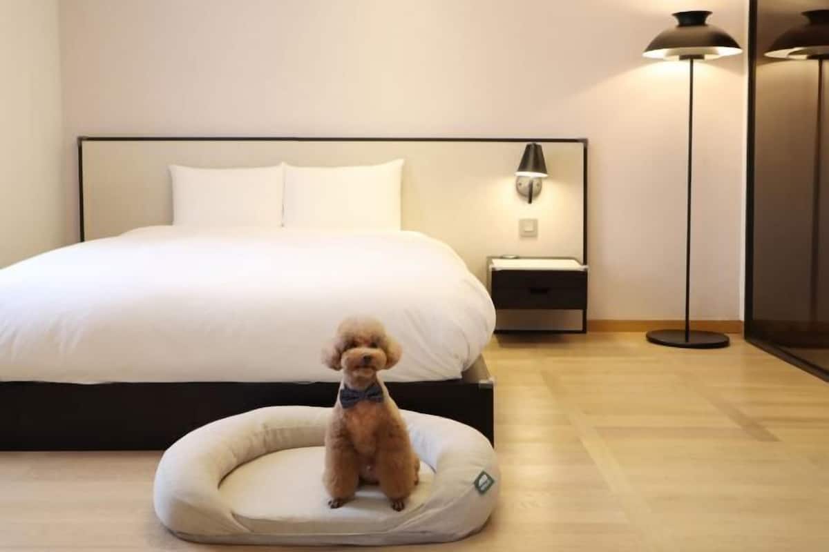 1 bedroom, premium bedding, minibar, in-room safe