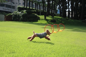 Pet-friendly amenities