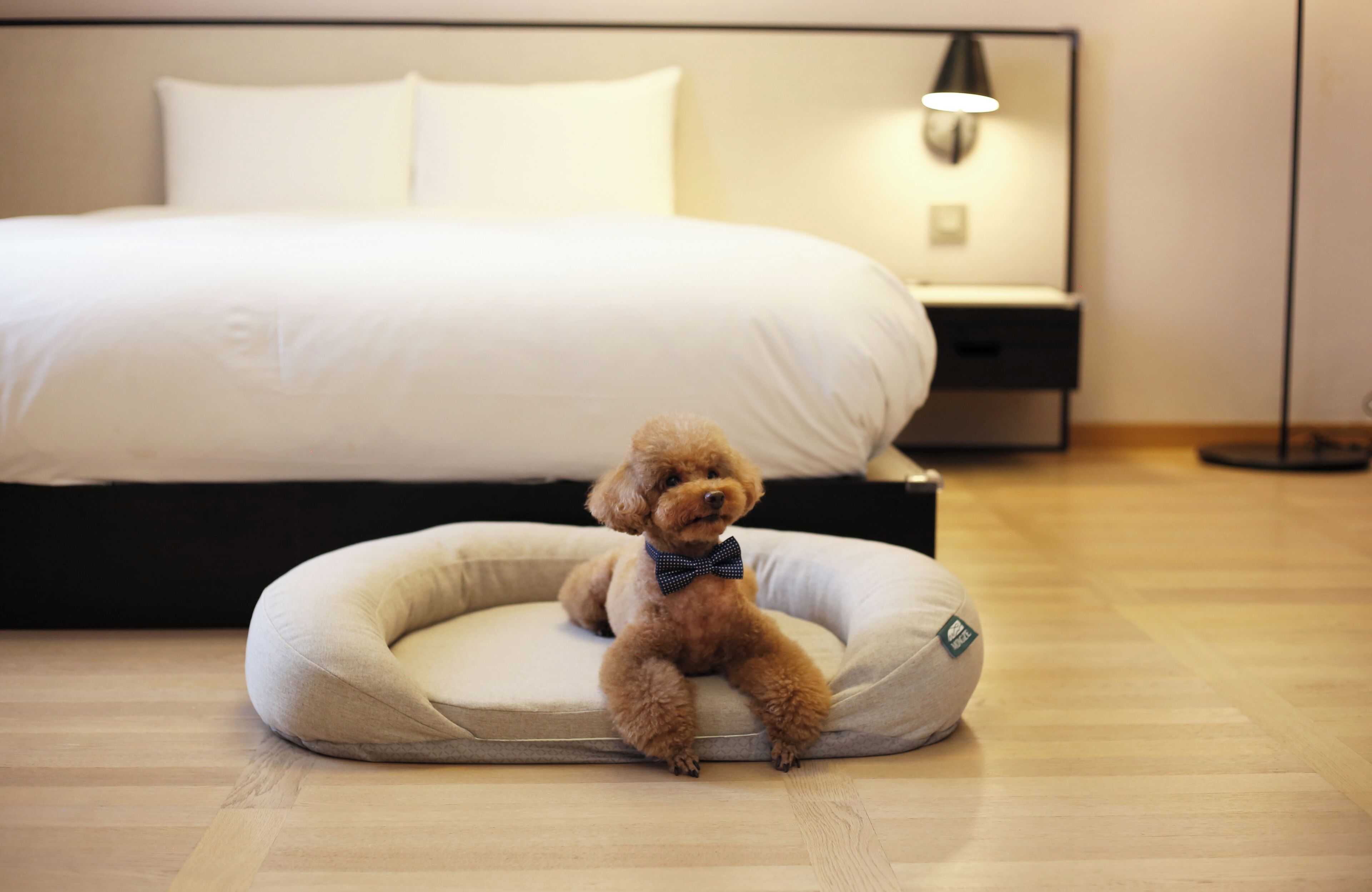 Pet Heritage Suite Ondol Room | 高档床上用品、迷你吧、客房内保险箱、办公桌