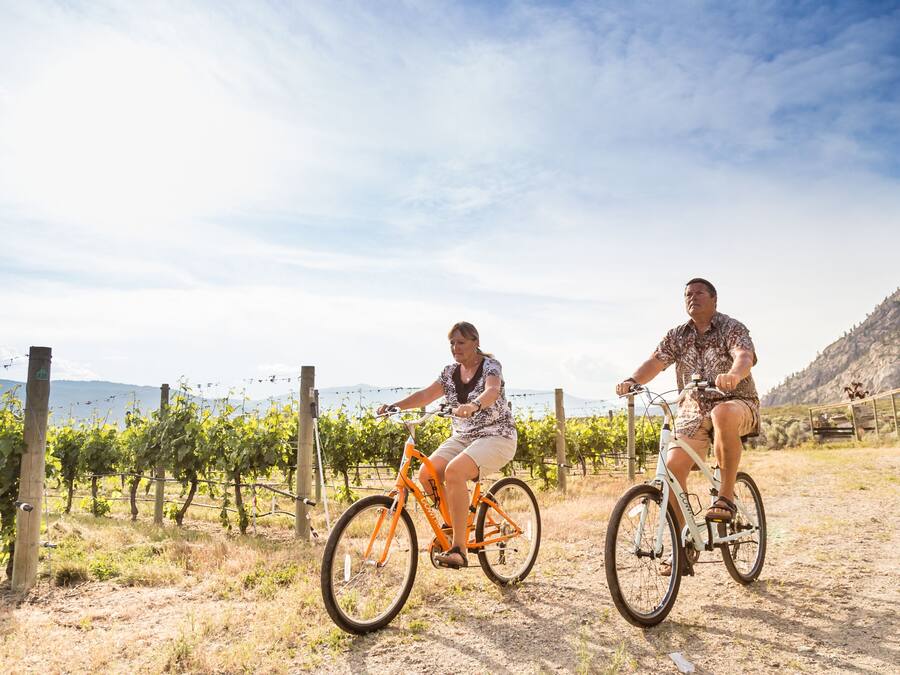 Two people riding bicycles on a dirt path with a vineyard and mountains in the background.