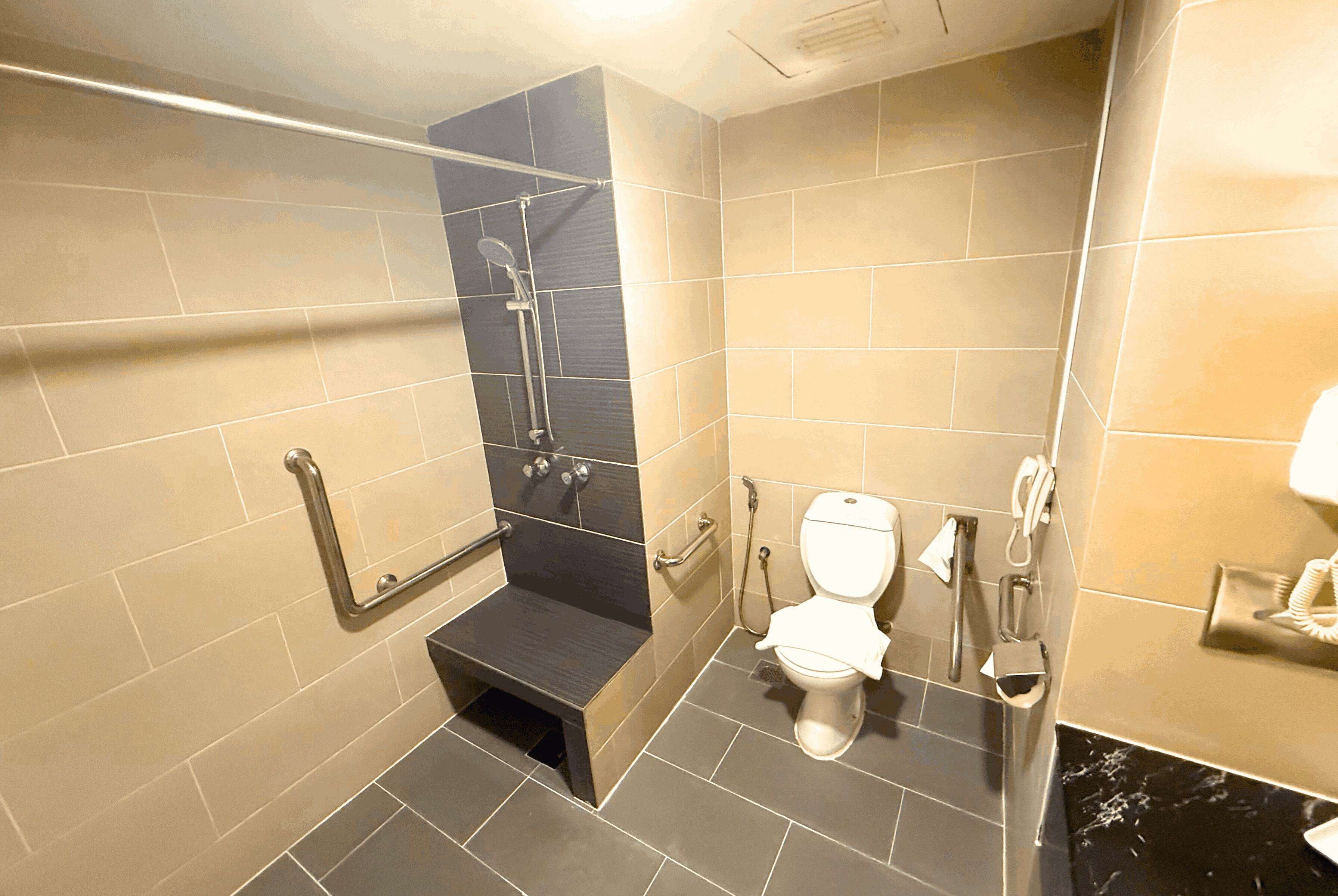 Une salle de bain moderne équipée d’une douche, de toilettes et de barres d’appui.
