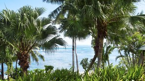 A tropical landscape with palm trees and a view of the ocean. - Sinalei Reef Resort & Spa (Siumu)