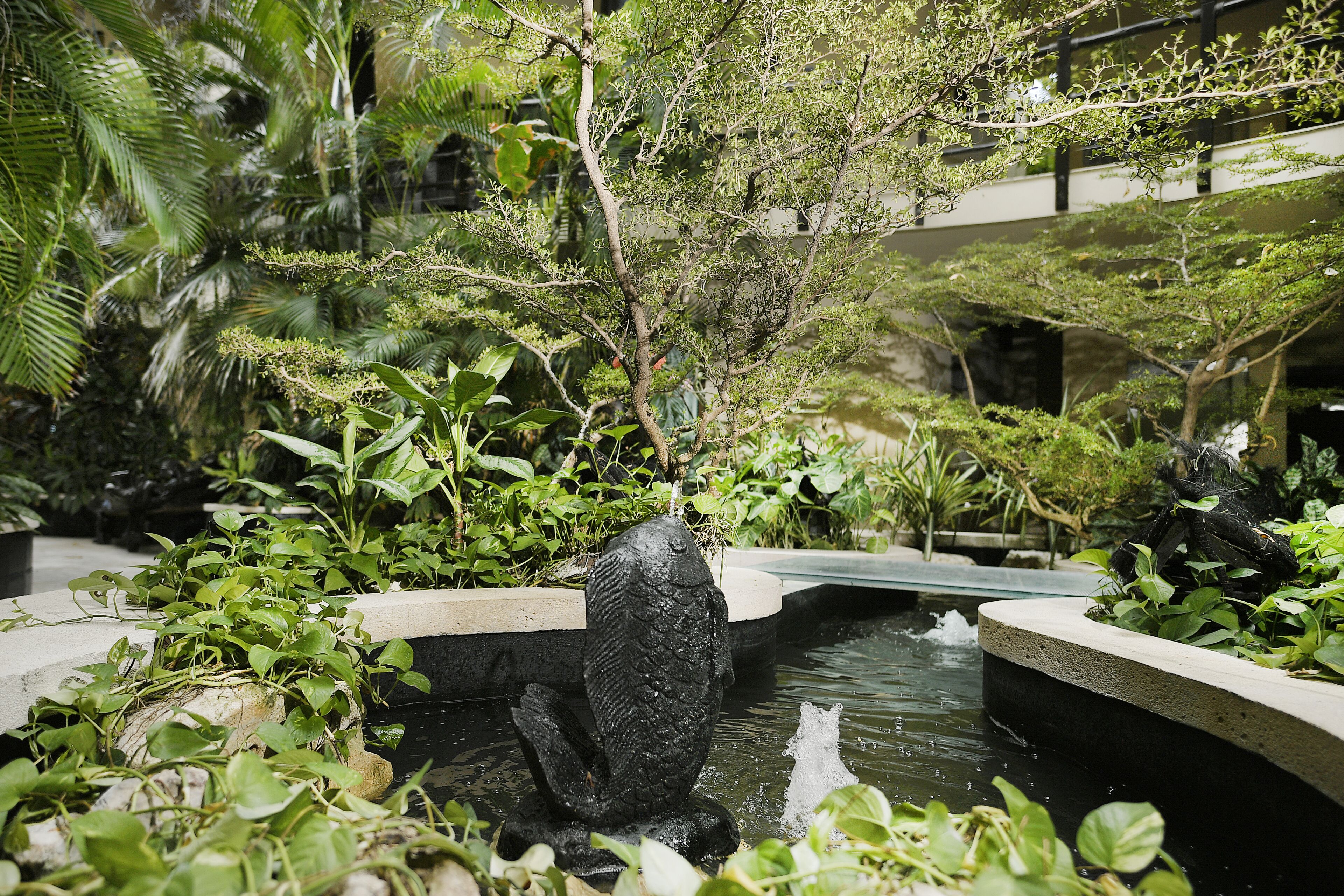 Un giardino interno tranquillo con uno stagno di carpe koi, vegetazione rigogliosa e una scultura decorativa a forma di pesce.
