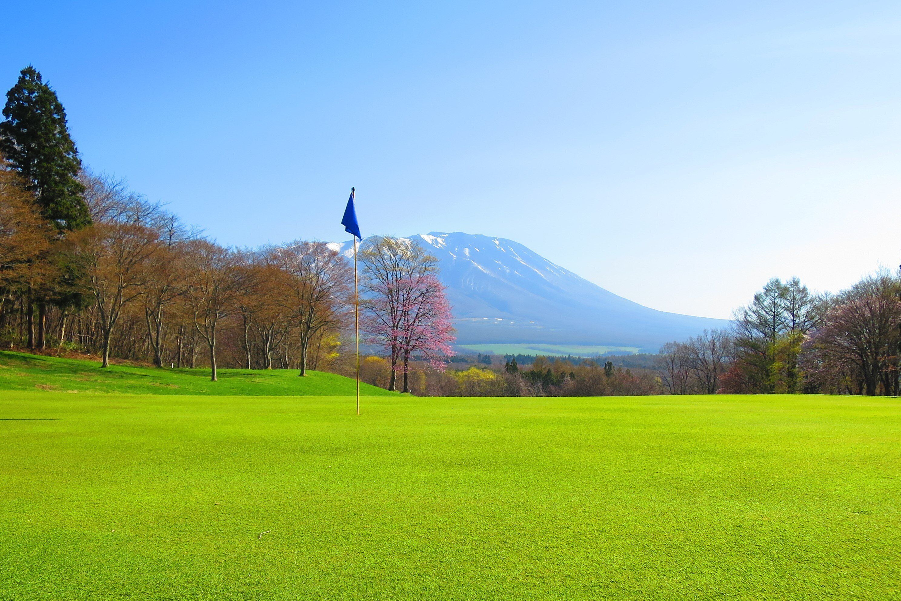 Een golfbaan met een vlag, bomen en een berg op de achtergrond.