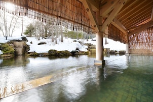 Aguas termales