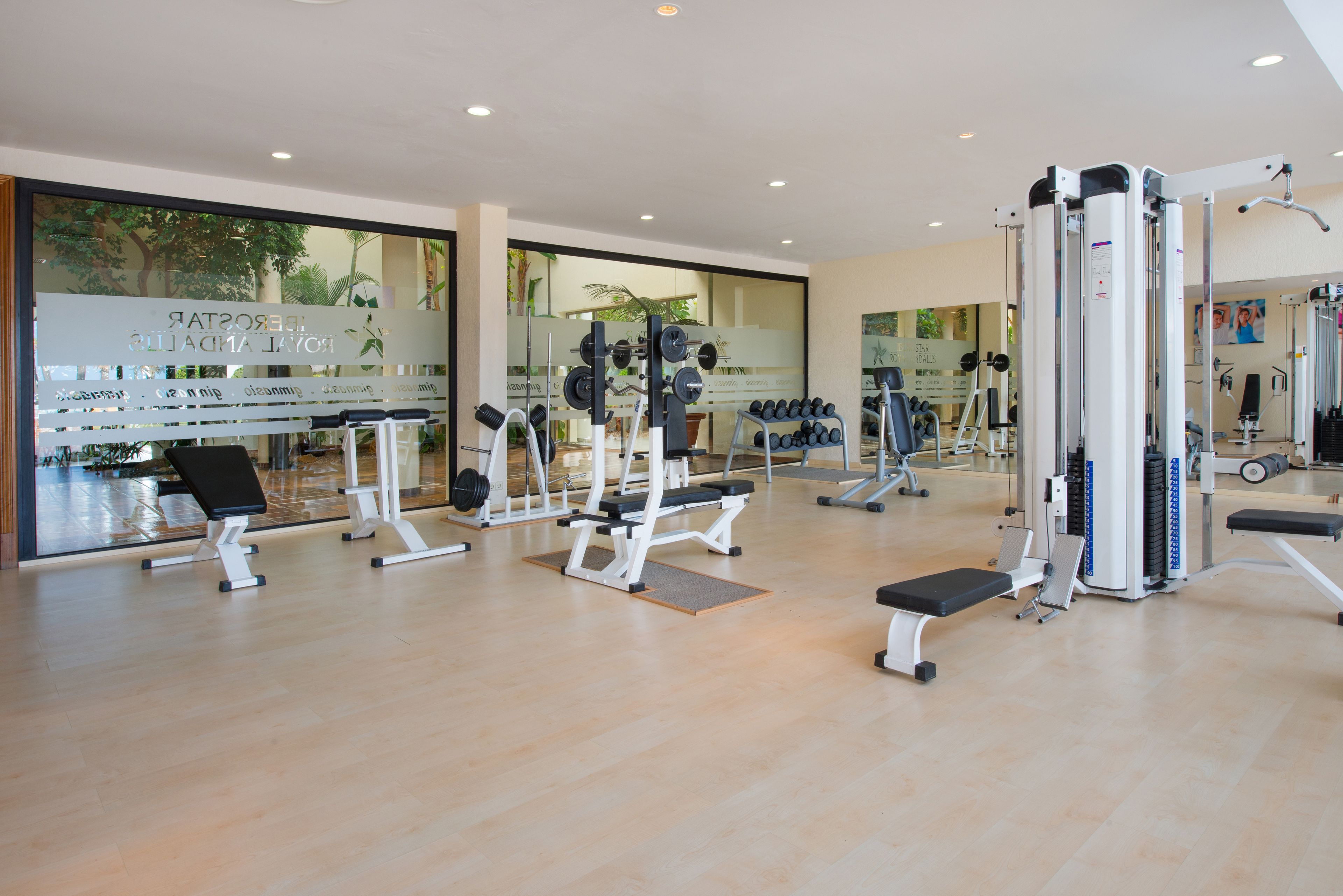 Un gimnasio con equipo de ejercicio variado, una banca y un espejo grande.