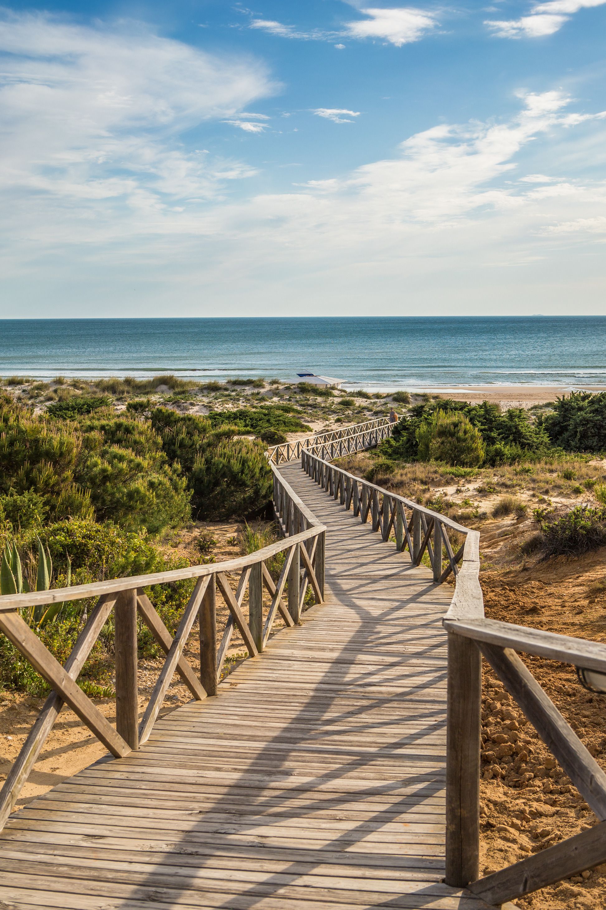 Accommodatie ligt op het strand, strandlakens
