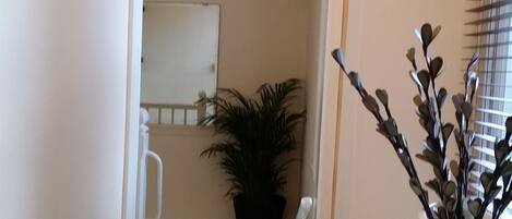 A room with a white door, a potted plant, and a vase with branches.
