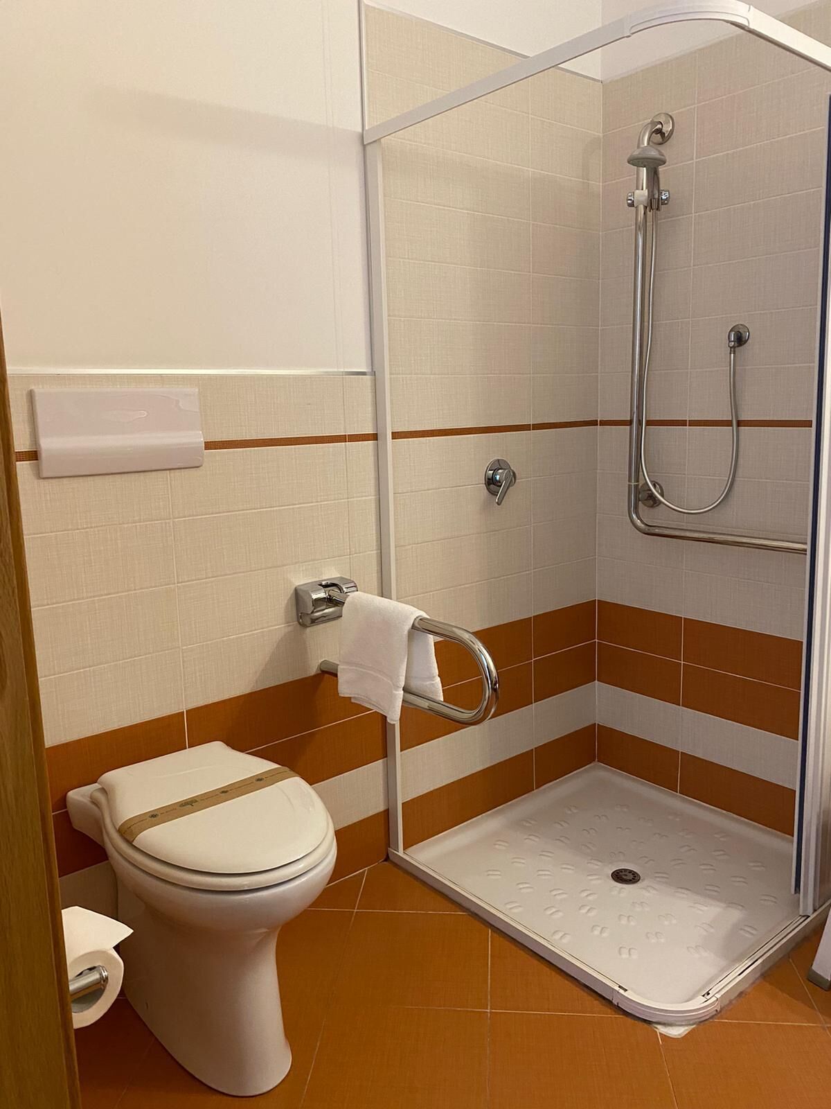 Un baño con ducha, inodoro y barra para toallas.