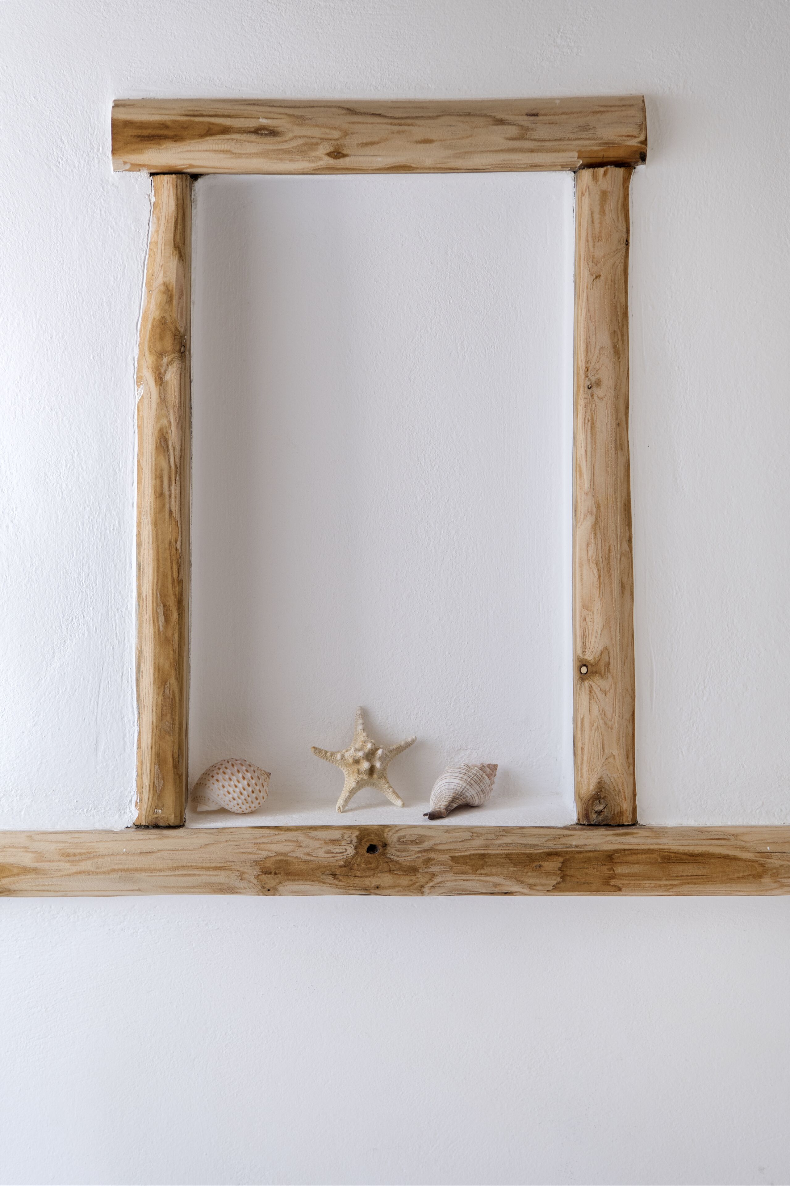 A wooden frame with a white wall background and two seashells and a starfish inside.