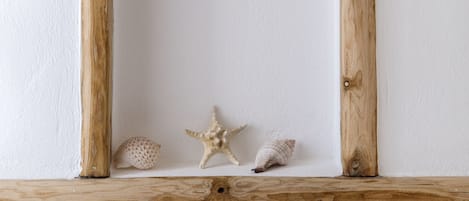 Ein Holzrahmen vor weißer Wand, darin zwei Meeresschnecken und ein Seestern.