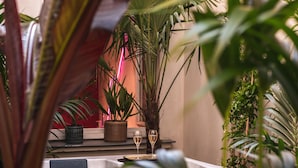 A hot tub surrounded by lush plants and a potted plant with a wine glass on a table. - Seven Hotel Paris (Paris)