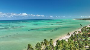 A coastal view with clear turquoise waters, a sandy beach, and palm trees. - Salinas Maragogi All Inclusive Resort (Maragogi)
