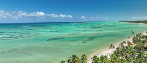 En la playa, arena blanca, camas de playa gratis