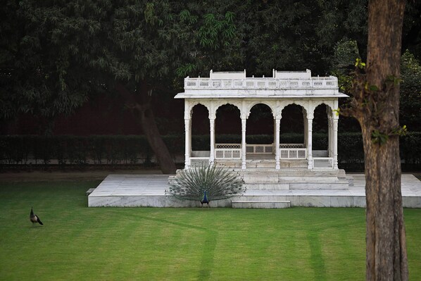 A pavilion with a peacock in front. - Taj Nadesar Palace (Varanasi)