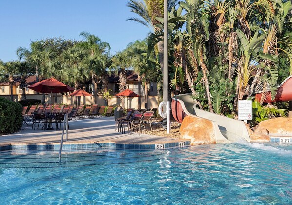 Outdoor pool, sun loungers