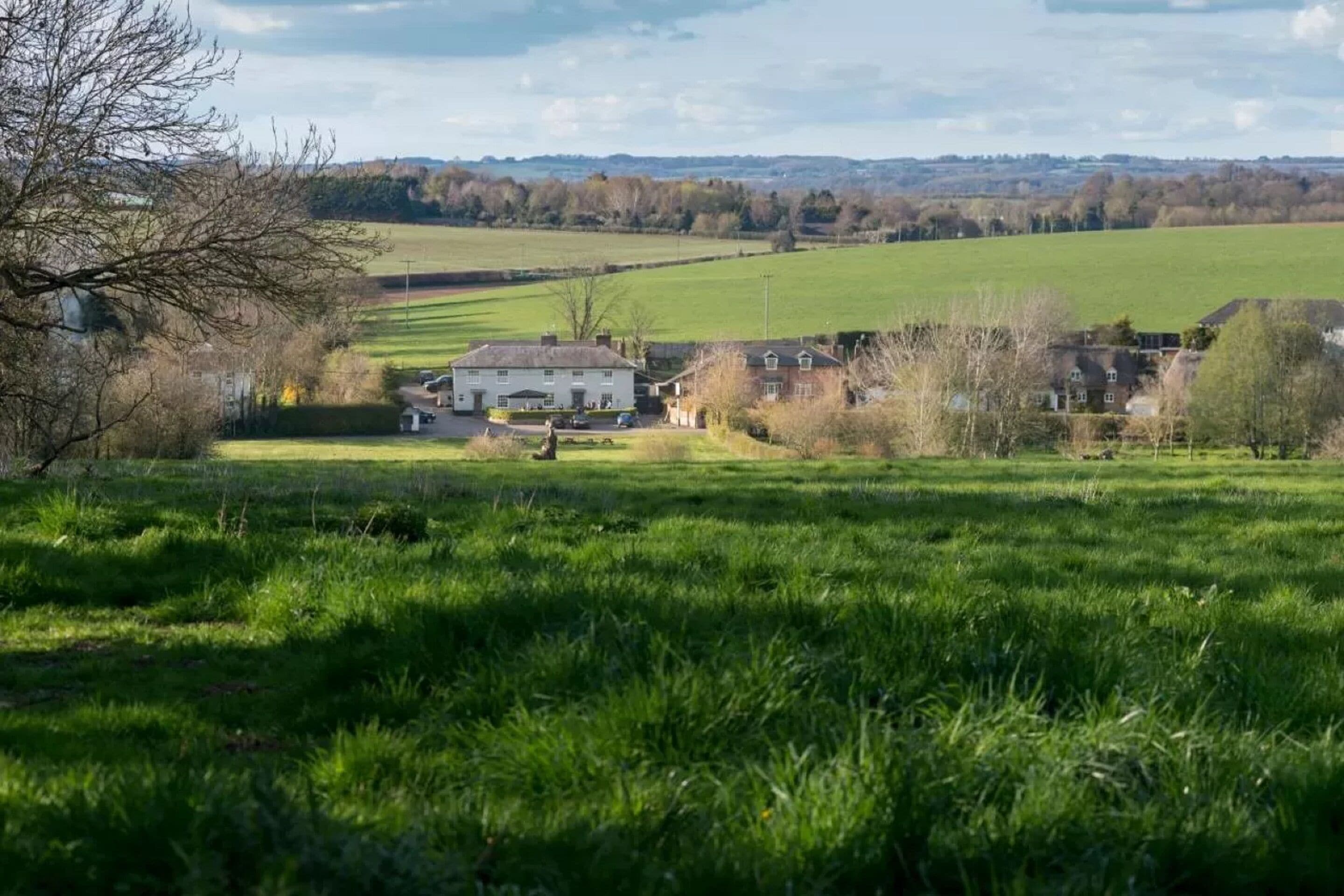 A rural landscape with a white house surrounded by fields and a few trees.