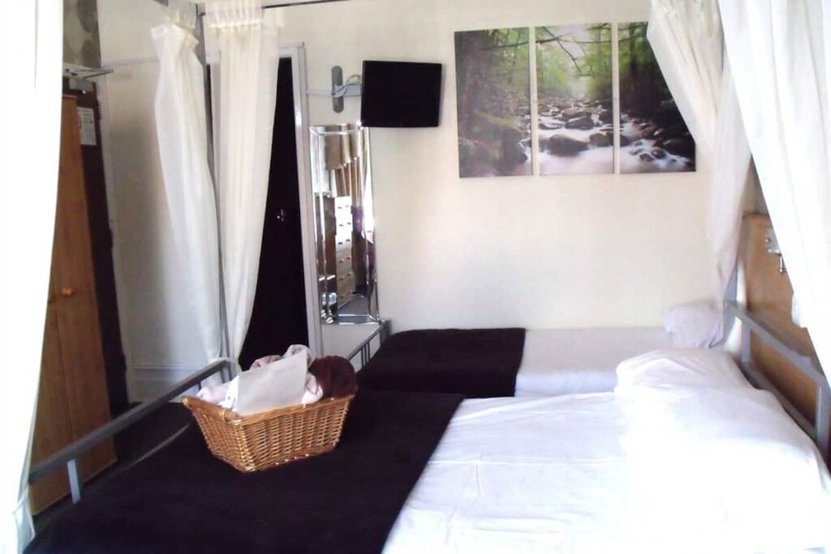A bedroom with two beds, a mirror, a television, and a painting of a forest scene.