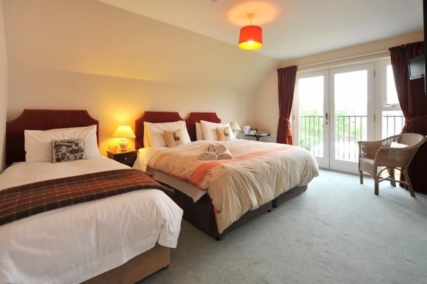 Premium bedding, individually decorated, individually furnished, desk