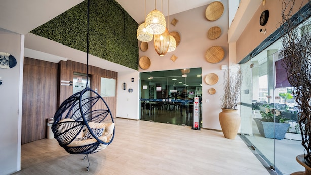 Un interior moderno con una silla colgante, una pared verde y una planta grande.