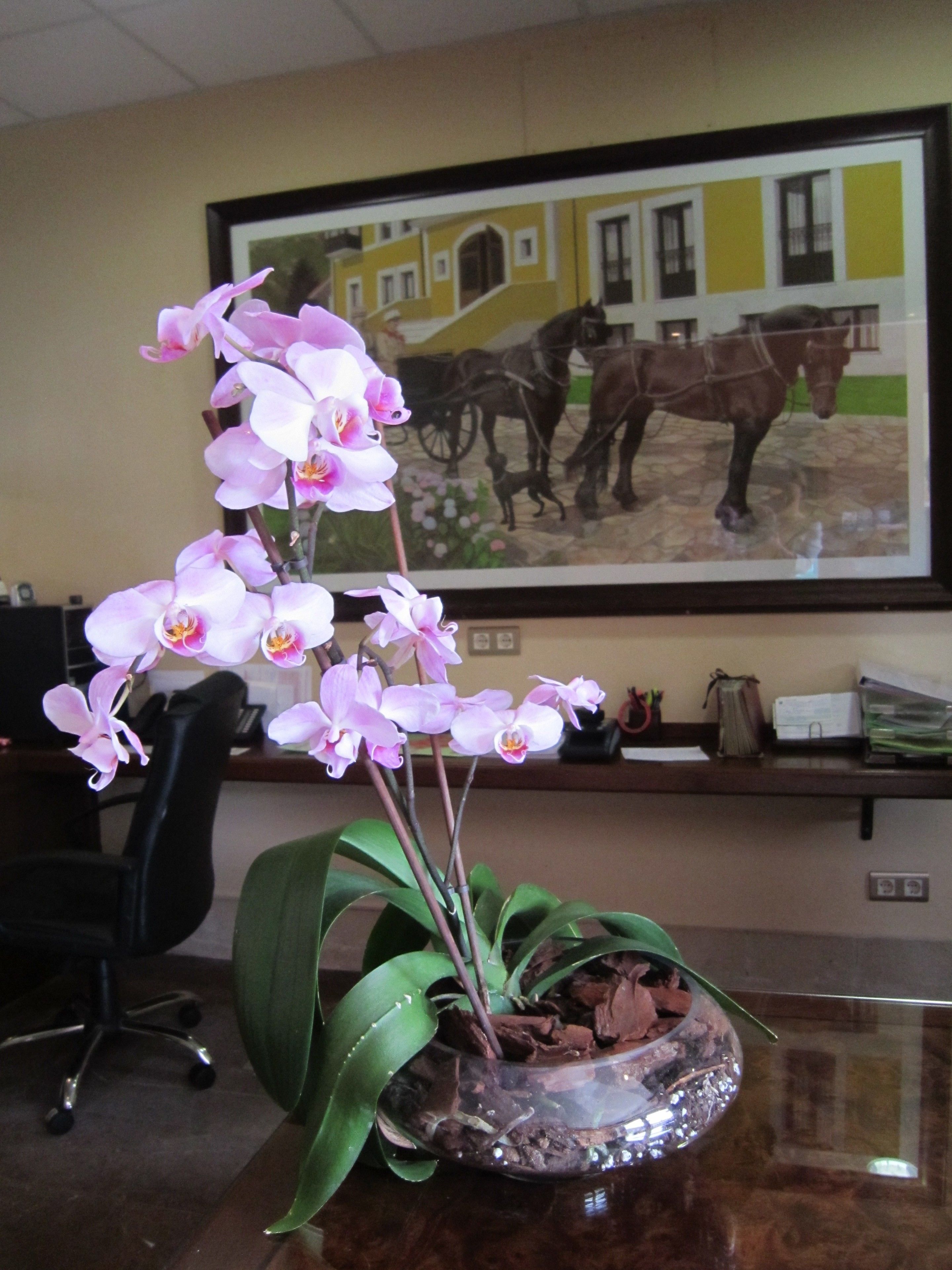 Foto - Hotel Finca La Mansión