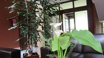 A living room with a large plant, a vase with flowers, a magazine on the coffee table, and a leather sofa.