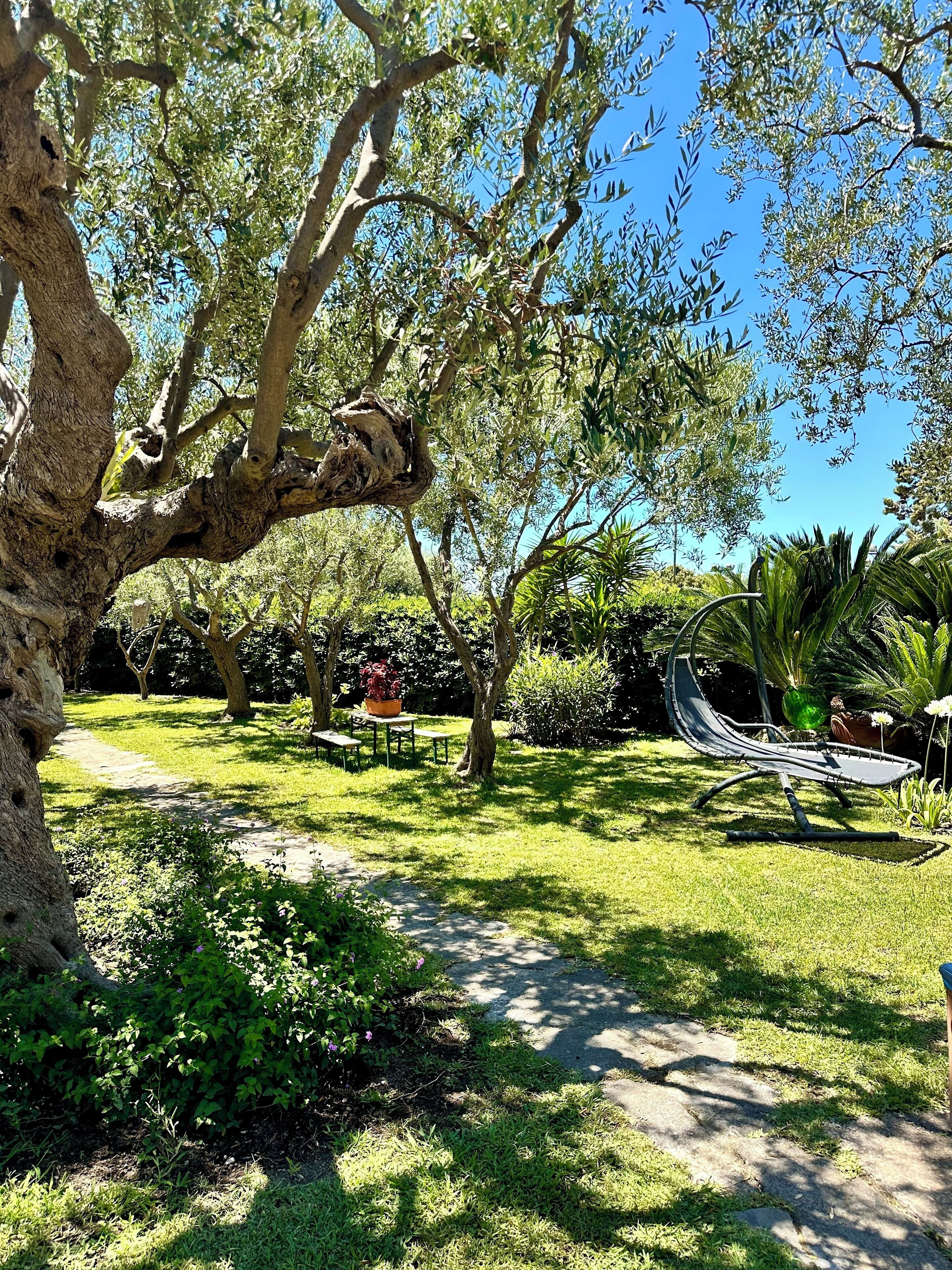 Ein Garten mit Hängematte, Picknicktisch und einem Weg.