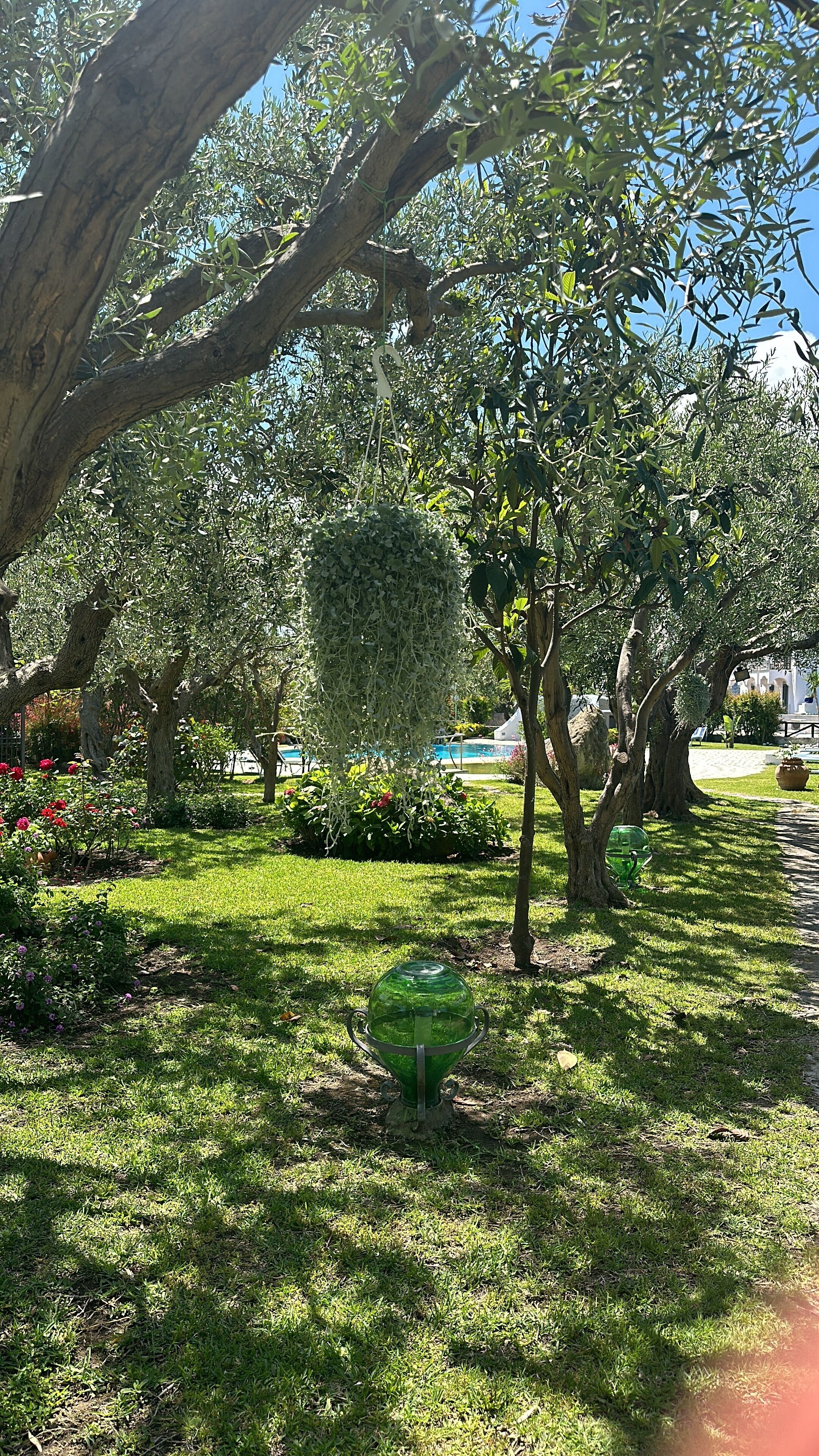Un jardin luxuriant, agrémenté d’arbres adultes, d’un petit étang et d’une structure décorative verdoyante.