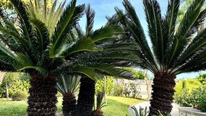 Un jardin agrémenté de palmiers et d’un bac à fleurs décoratif contenant des fleurs rouges.