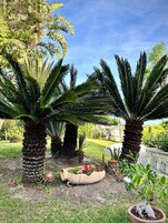 Um jardim com palmeiras e um vaso decorativo com flores vermelhas.